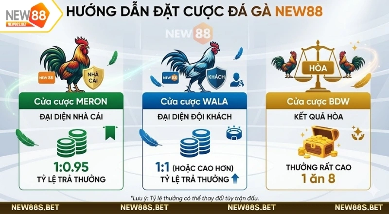 Các cửa cược đá gá NEW88